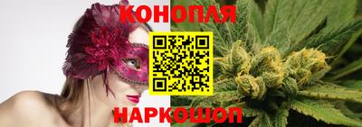 прущие грибы Беслан