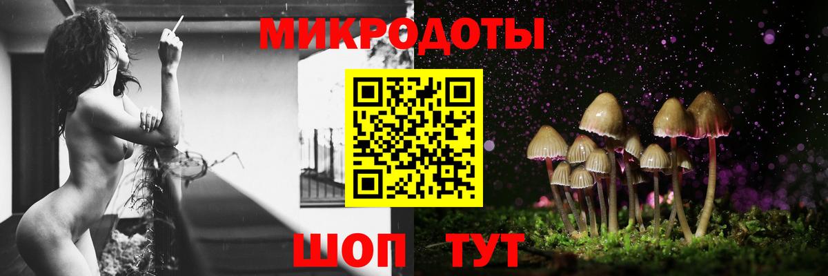 Галлюциногенные грибы Psilocybine cubensis Киселёвск